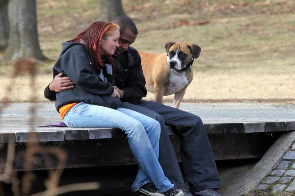 Why Do Dogs Get Jealous When We Kiss