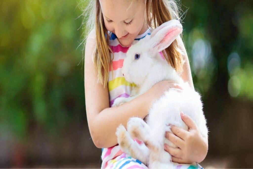 Are Rabbits Good Pets For Children?