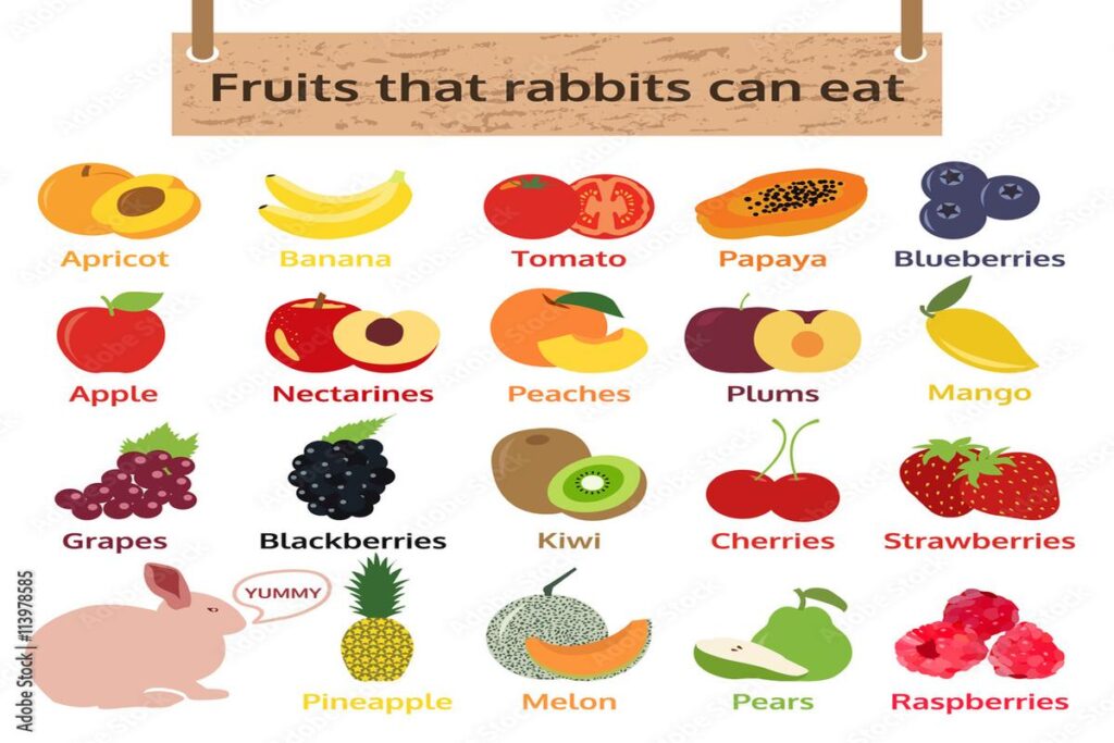 What Fruits Can Rabbits Eat?