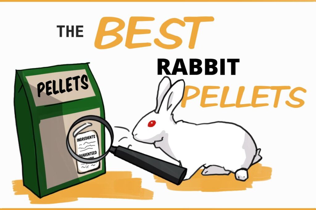 What Is The Best Rabbit Food?