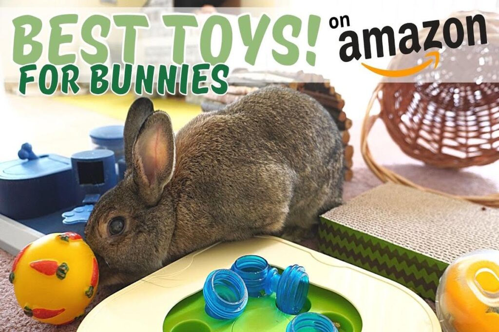 What Are The Best Toys For Rabbits?