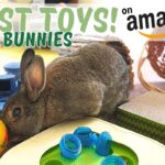 What Are The Best Toys For Rabbits?