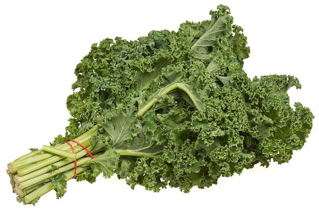 Can Rabbits Eat Kale?