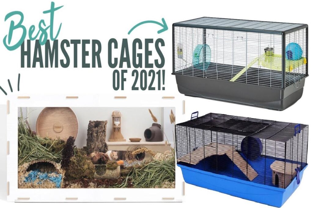 What Are The Best Hamster Cages For Beginners?