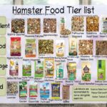 Best Food For Hamsters