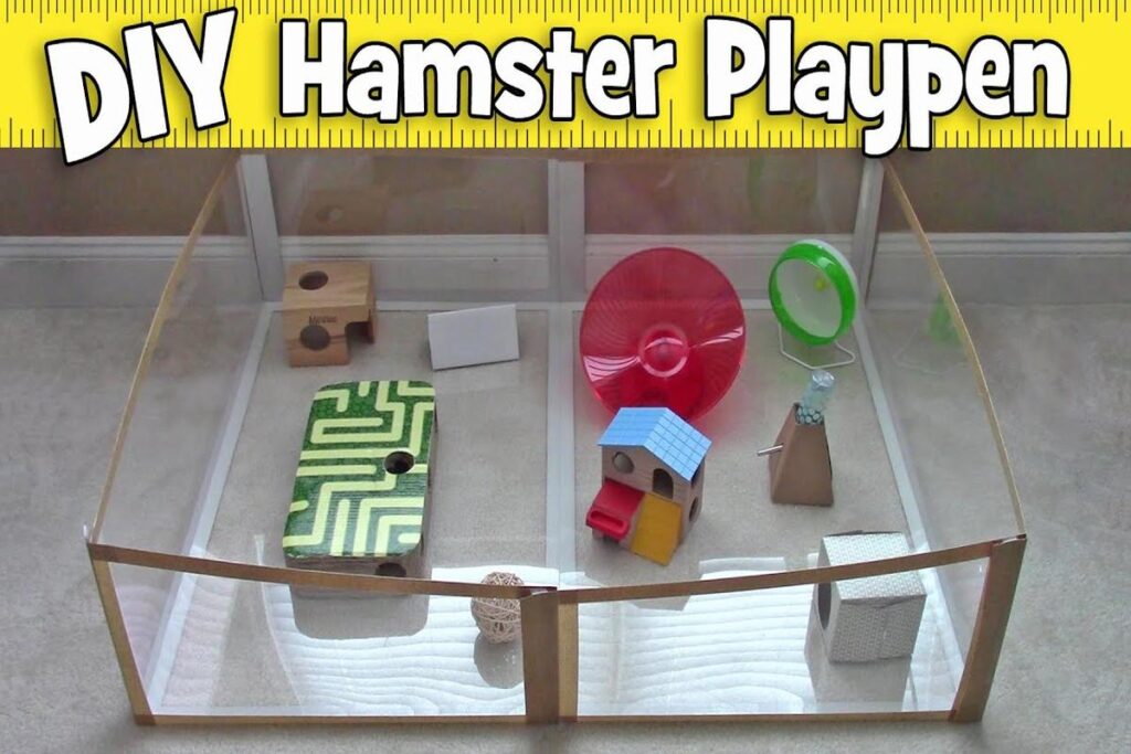 Where Can I Find A Hamster Playpen?