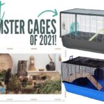 What Kind Of Cage Is Best For Hamsters?