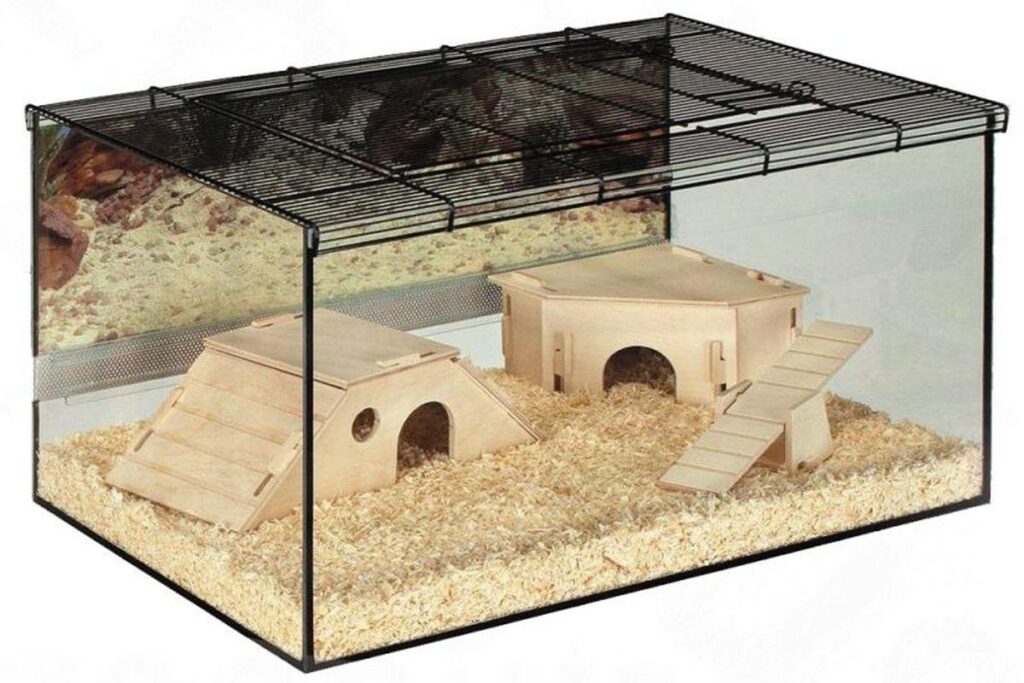 Best Cages For Dwarf Hamsters