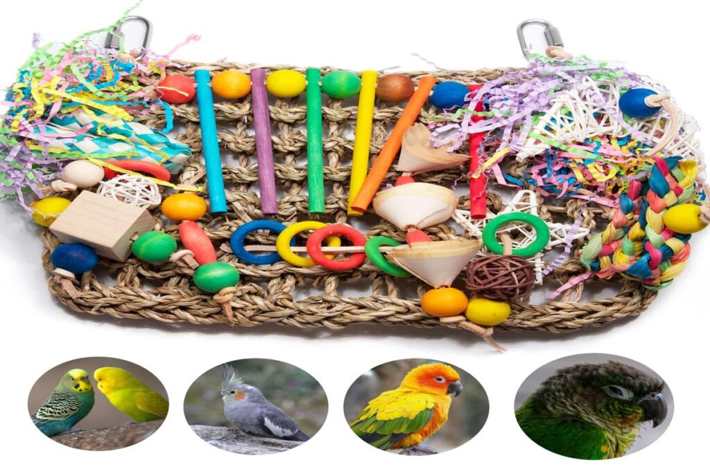 Parrot Toys For Mental Stimulation