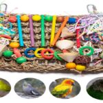 Parrot Toys For Mental Stimulation