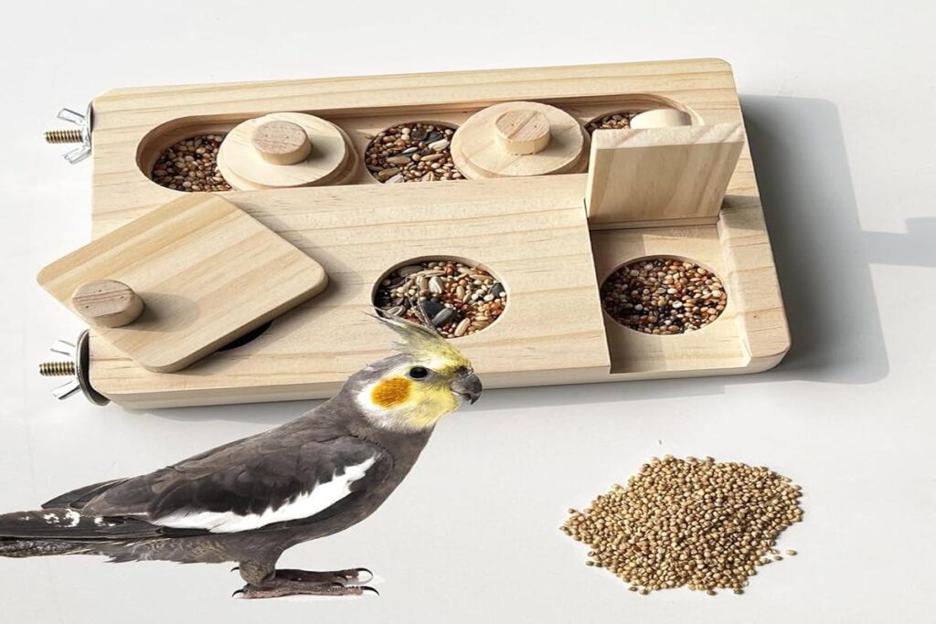 Parrot Enrichment Toys