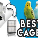 What Is The Best Cage Size For A Parrot