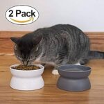 Best Wet Food For Senior Cats