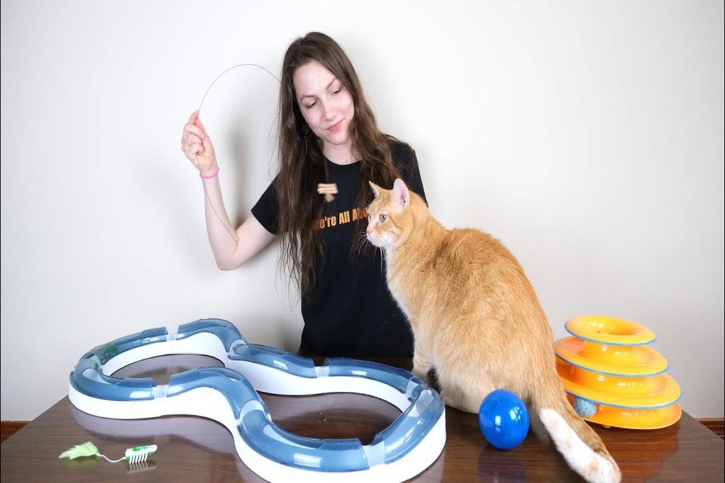 What Are Good Toys For Cats