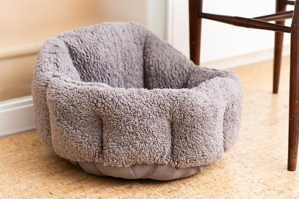 What Are The Best Beds For Cats?