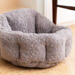 What Are The Best Beds For Cats?