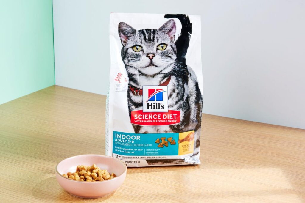 What Is The Best Dry Food For Cats?