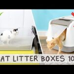 What Size Litter Box Is Best For Cats?