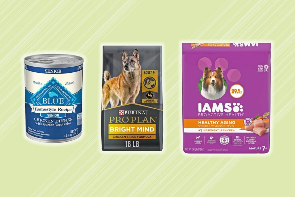 Best Food For Senior Dogs