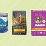 Best Food For Senior Dogs