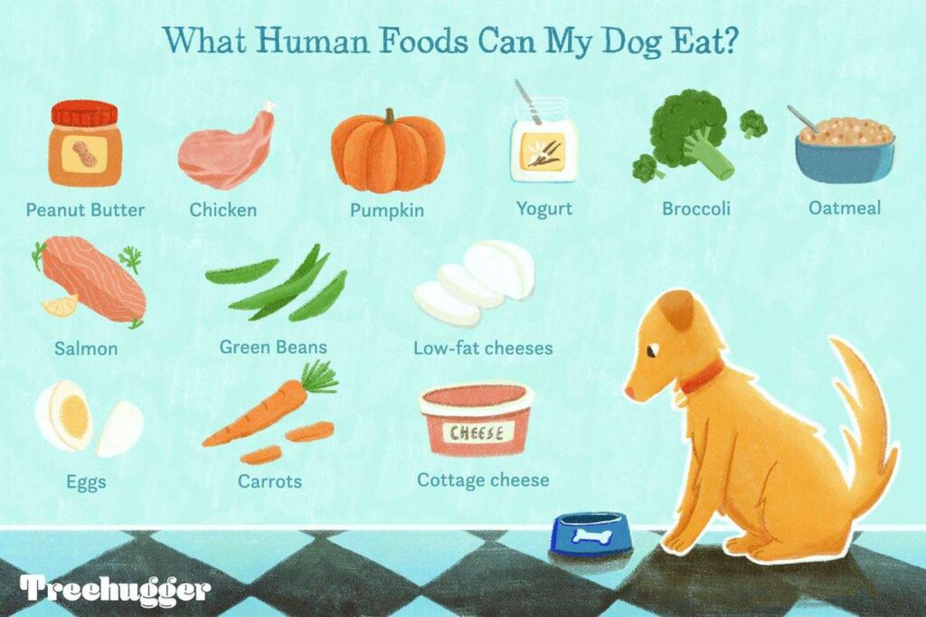 Can Dogs Eat Human Food?