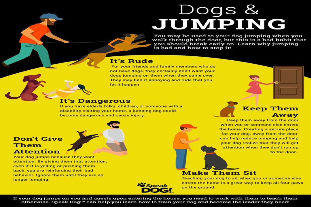 How To Train A Dog To Stop Jumping On People?