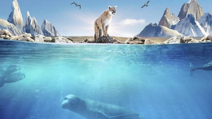 How Do Animals Adapt to Extreme Environments?