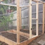 How To Build A Squirrel-Proof Garden?