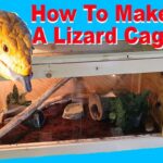 How To Set Up A Lizard Habitat