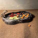 How Often Should I Feed My Lizard