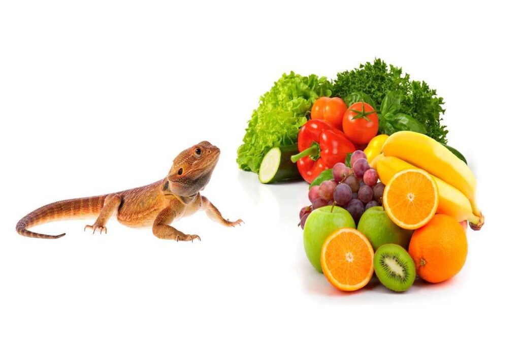 What Fruits And Vegetables Can Lizards Eat