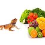 What Fruits And Vegetables Can Lizards Eat