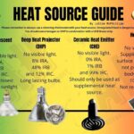 What Are The Best Heating Sources For Lizards