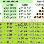 Guinea Pig Cage Size Guide