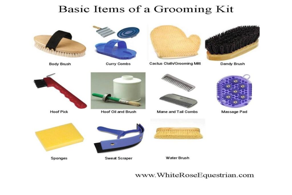 Horse Grooming Brushes