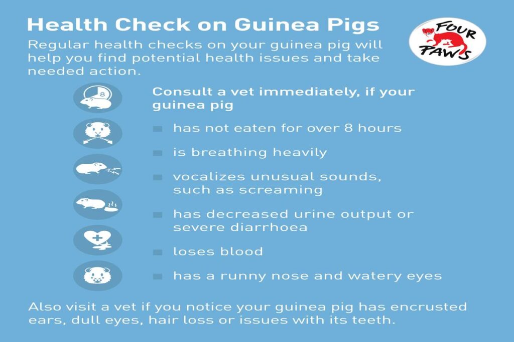 What Are The Common Health Issues In Pigs?