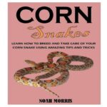 Snake Breeding Tips For Beginners