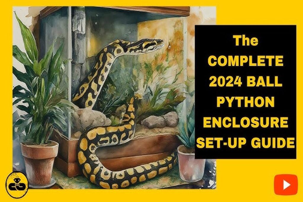 Snake Enclosure Setup Guide