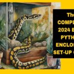 Snake Enclosure Setup Guide