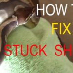 Snake Shedding Problems