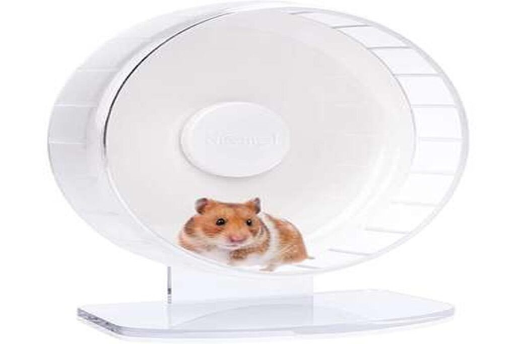 Best Hamster Wheels For Exercise