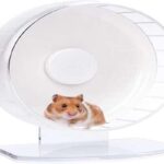 Best Hamster Wheels For Exercise