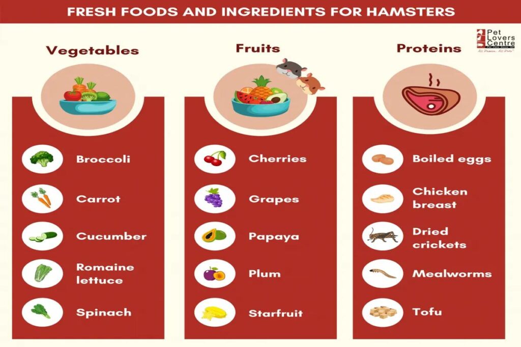 Can Hamsters Eat Fresh Vegetables