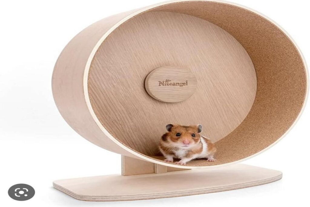 How To Clean A Hamster’S Wheel