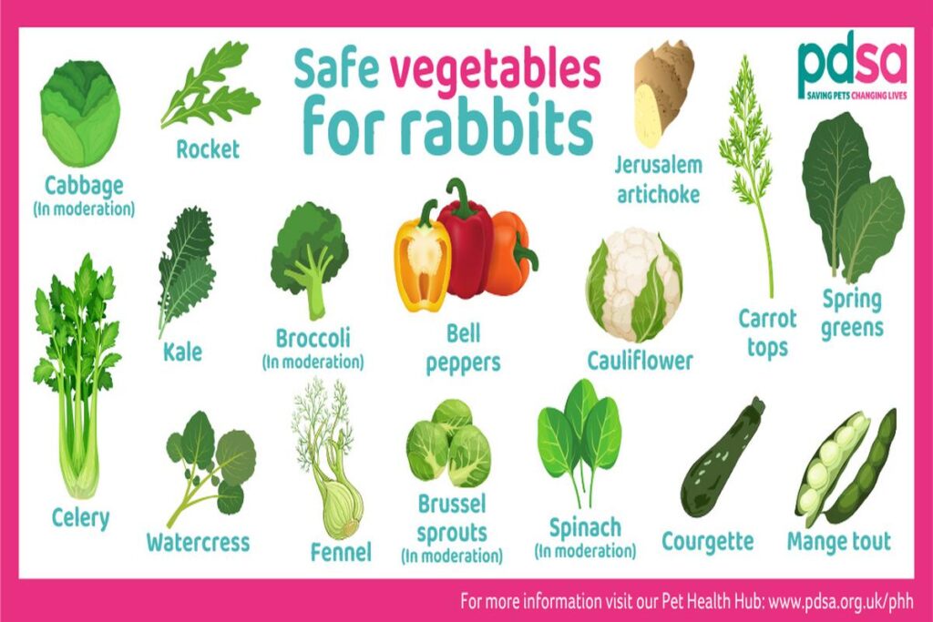 What Is The Best Diet For Rabbits