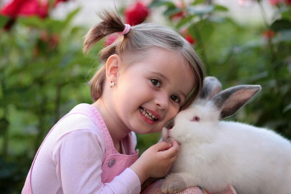 What Is The Importance Of Rabbit Vaccinations?