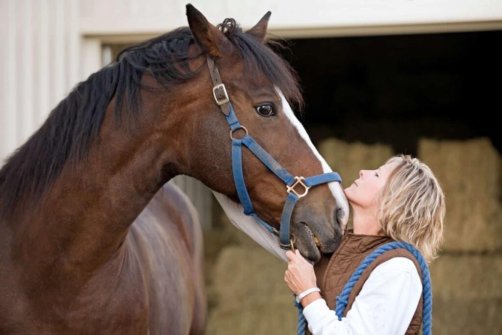 Can Horses Recognize Their Owners