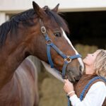 Can Horses Recognize Their Owners