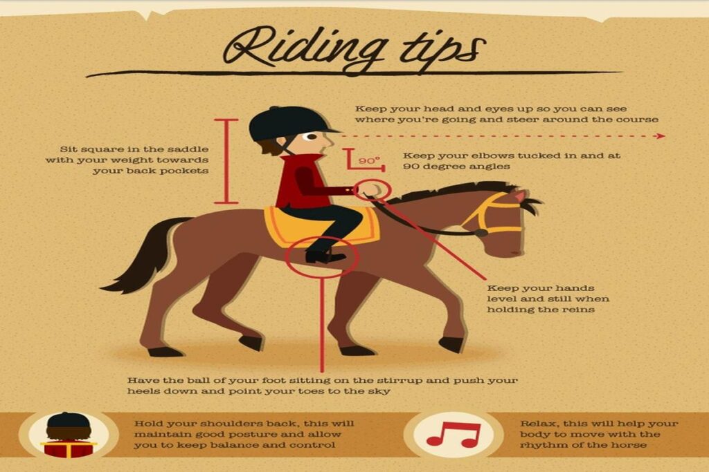 What Are The Best Practices For Horse Riding