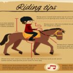 What Are The Best Practices For Horse Riding